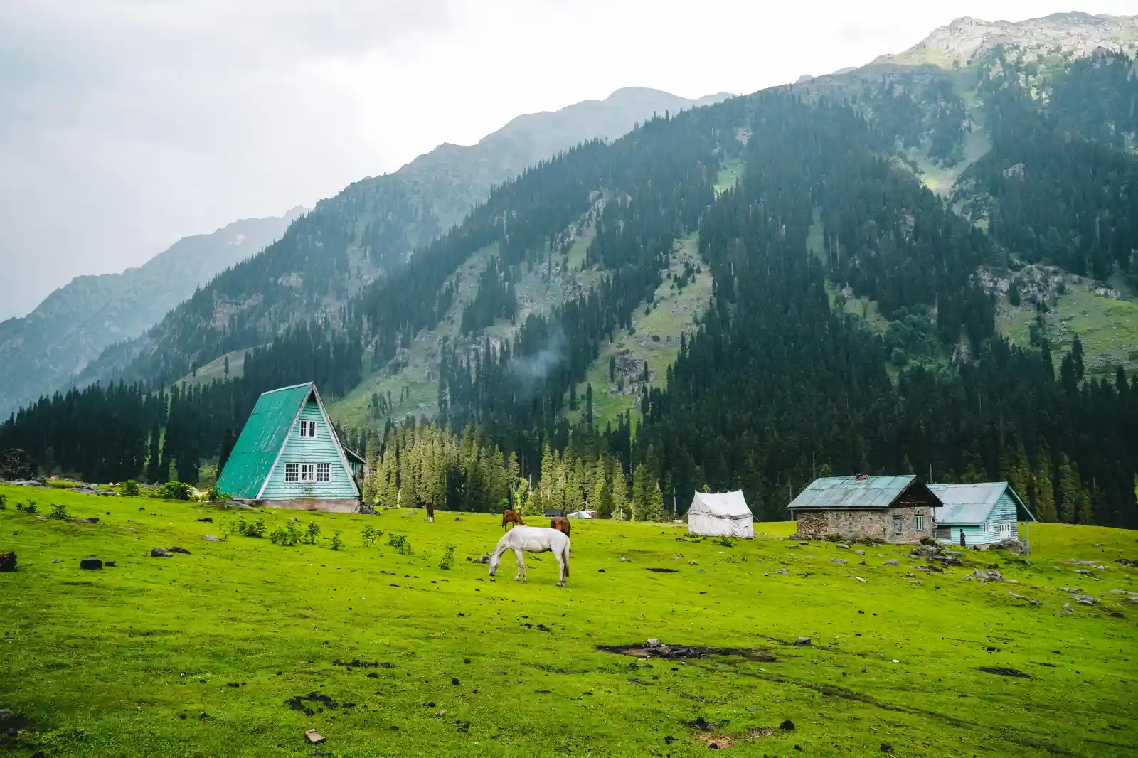 Luxury Houseboat in Srinagar