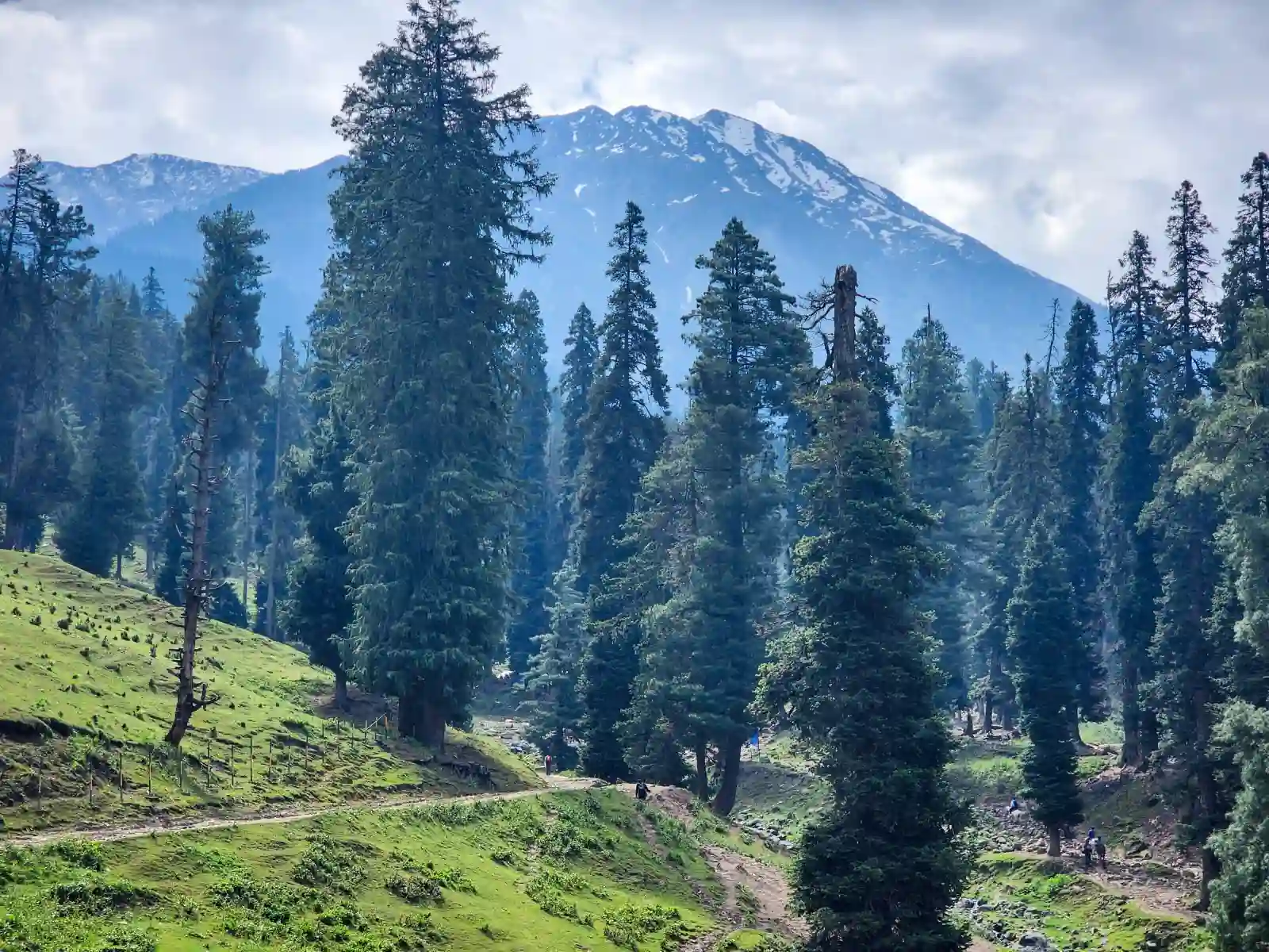 Baisaran Valley in Pahalgam