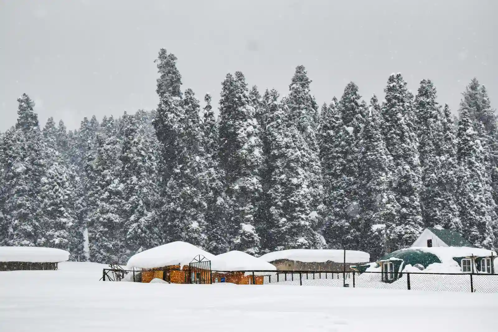 Gulmarg Snow Activities in Winter