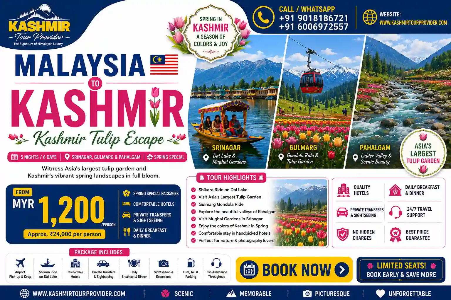 Tulip Season Tour package — Srinagar tulip garden in spring