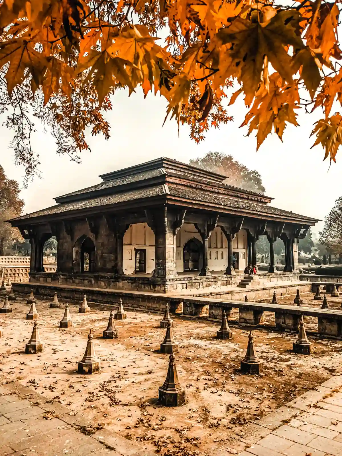 shamilar