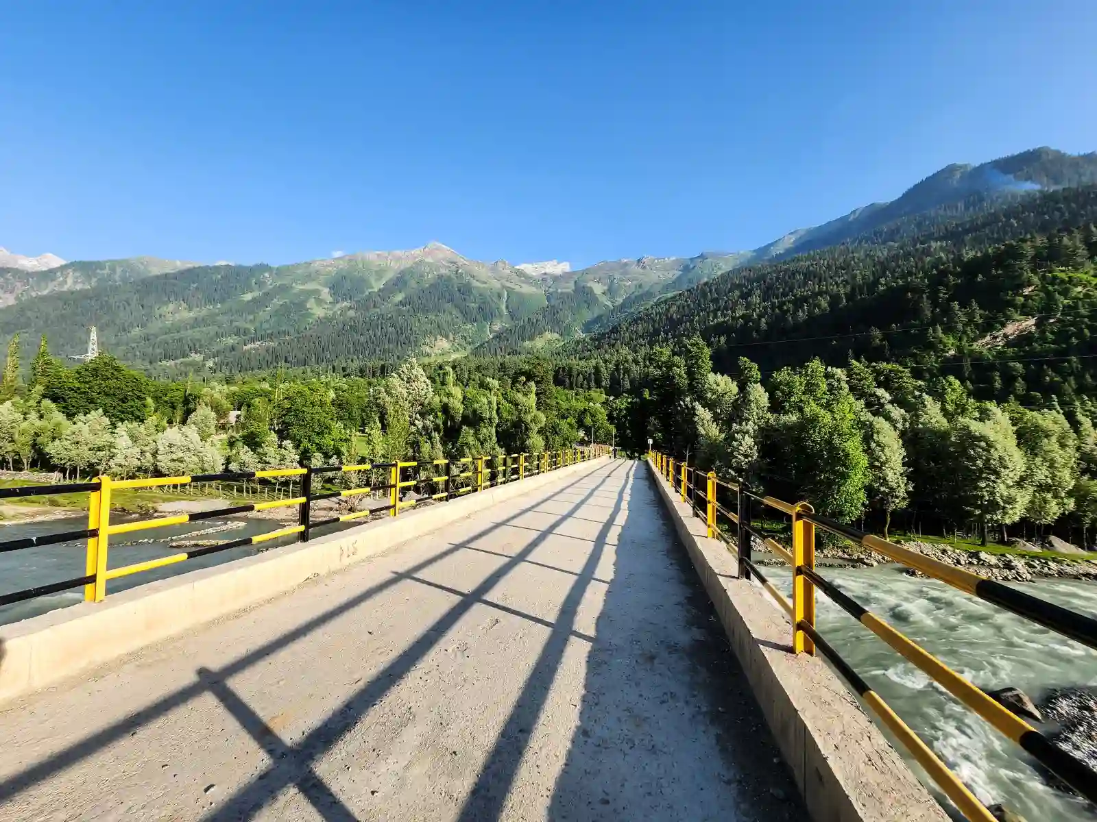 Family stay in Gulmarg snow cottages