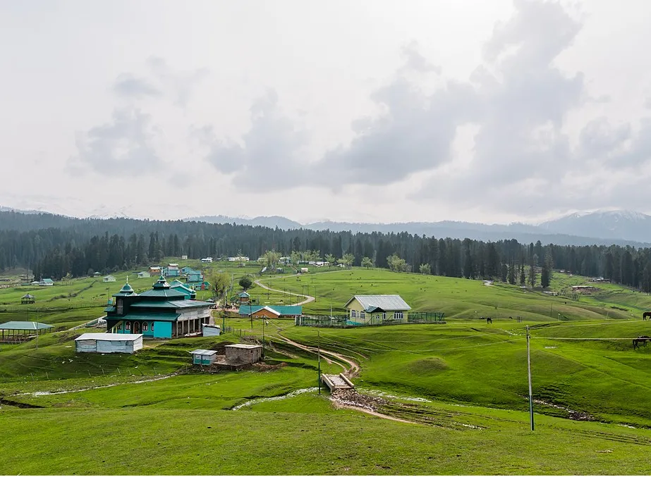 Yusmarg Meadow in Kashmir