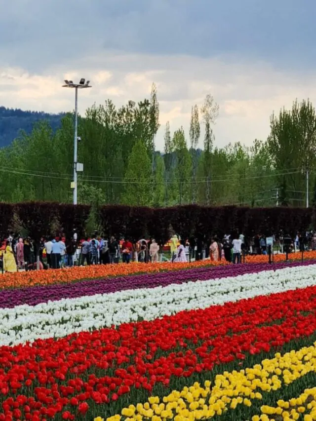Kashmir Cheap Tour