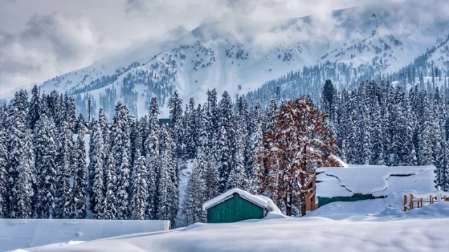 Kashmir Tour Packages from Delhi